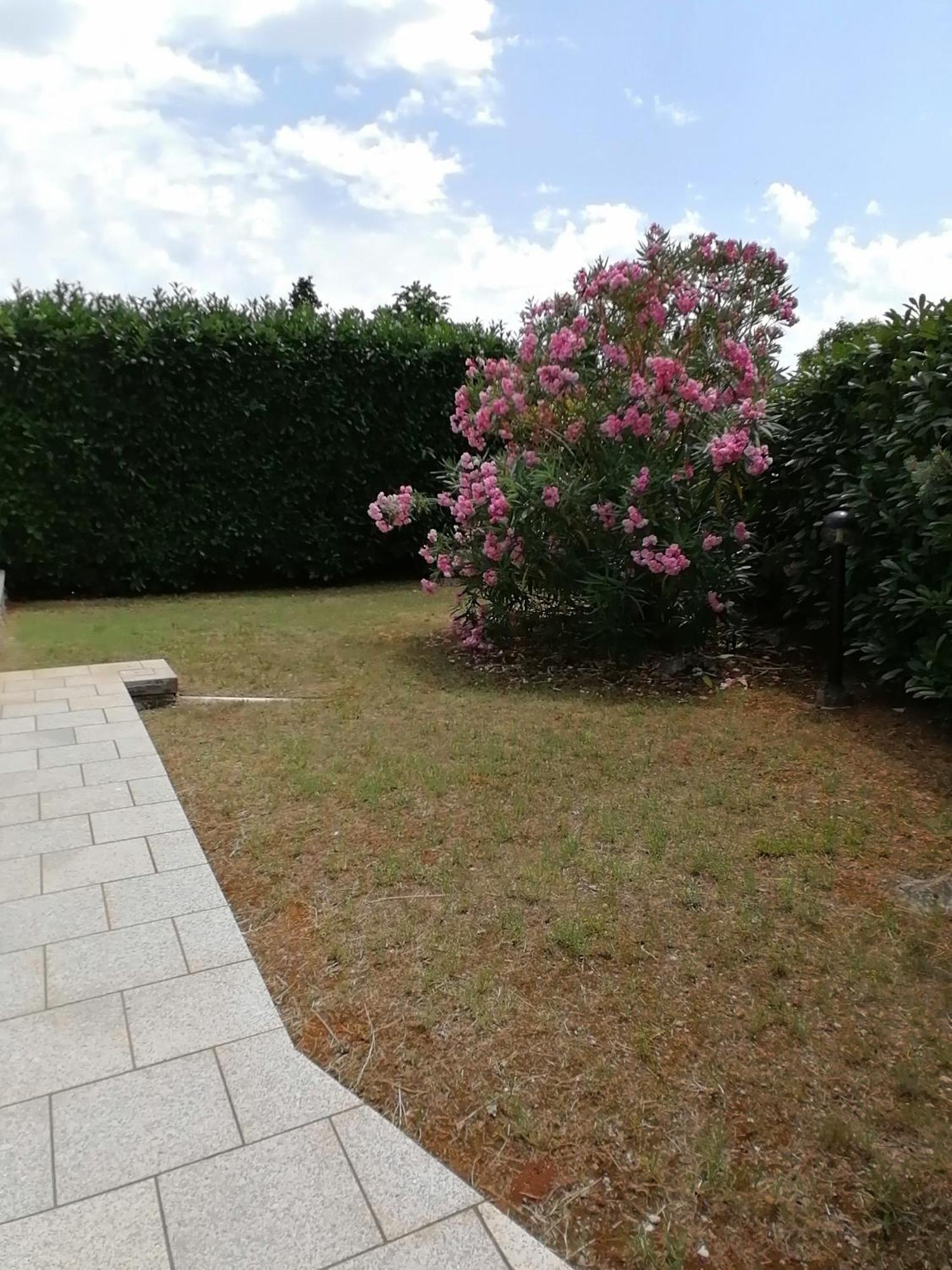Gloria Apartamento